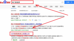 閃開(kāi)新能源(?？?有限公司與海洋網(wǎng)絡(luò)簽署萬(wàn)詞霸屏項(xiàng)目