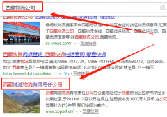 西藏域誠物流有限責(zé)任公司與我司做網(wǎng)站推廣項目