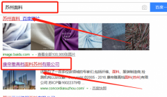 康帝雅高檔面料（蘇州）有限公司同我公司簽署網(wǎng)站開發(fā)事宜