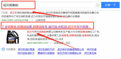 武漢市潤(rùn)佳高級(jí)潤(rùn)滑油有限責(zé)任公司同我公司簽署搜索引擎推廣事宜