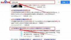 山東睿鷹制藥集團(tuán)有限公司跟本公司簽訂網(wǎng)站推廣項(xiàng)目