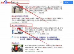 湖北維佳科技有限公司跟本公司簽訂搜索引擎優(yōu)化項目