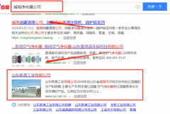 山東新高工業(yè)有限公司與海洋網(wǎng)絡(luò)簽署萬詞霸屏項(xiàng)目