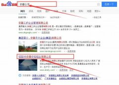 安徽安鋁鋁業(yè)有限公司跟本公司簽訂搜索引擎優(yōu)化項(xiàng)目