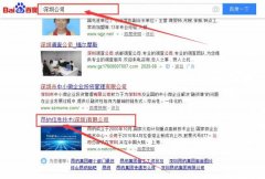 昂納信息技術(shù)(深圳)有限公司與我司做快速排名項(xiàng)目