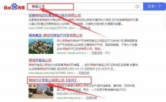 桐城市欣*塑業(yè)有限公司跟本公司簽訂搜索引擎優(yōu)化項(xiàng)目