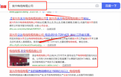 圣*電纜有限公司與海洋網(wǎng)絡(luò)簽署萬詞霸屏項(xiàng)目