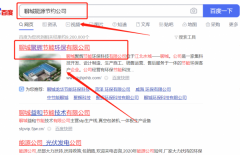 聊城*輝節(jié)能環(huán)?？萍加邢薰景俣汝P鍵詞排名營銷+精準獲客