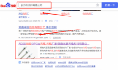 湖南*聯(lián)光電科技有限公司網(wǎng)站排名營銷+精準獲客