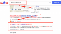 武漢神*汽車電子電器有限公司SEO優(yōu)化到首頁按天扣費