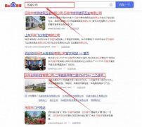 樂(lè)陵創(chuàng)*科技有限公司網(wǎng)站優(yōu)化排名效果展示