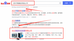 武漢海*科技發(fā)展有限公司百度排名營(yíng)銷策劃優(yōu)質(zhì)品牌