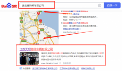江蘇天*特種車輛有限公司網(wǎng)站SEO優(yōu)化到首頁按天扣費(fèi)