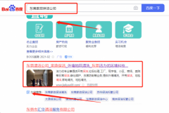 東莞市*力優(yōu)環(huán)境科技有限公司整站優(yōu)化讓網站輕松覆蓋在搜索引擎