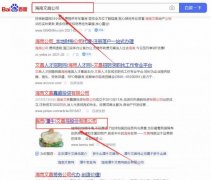 海南（潭*）文昌雞股份有限公司網(wǎng)站優(yōu)化最快上詞效果展示