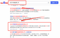 武漢榮*鴻新能源科技有限公司新站排名營銷+精準(zhǔn)獲客