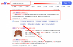 玉環(huán)瑋*電氣有限公司百度關鍵詞排名保證在首頁效果
