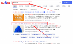 遼寧營口富*礦物質有限公司網站優(yōu)化網絡營銷優(yōu)化公司