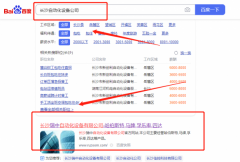 長沙*中自動(dòng)化設(shè)備有限公司網(wǎng)絡(luò)推廣營銷優(yōu)化公司