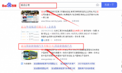 延邊國(guó)*新能源汽車(chē)有限公司網(wǎng)站優(yōu)化參考網(wǎng)站