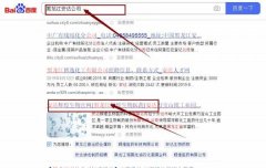 安達輝*生物醫(yī)藥科技有限公司網(wǎng)站優(yōu)化排名效果展示