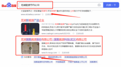 蕪湖國*能源股份有限公司新站排名整合營(yíng)銷推廣