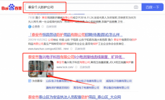 泰安市魯*電子科技有限公司網(wǎng)站推廣品牌營銷策劃機(jī)構(gòu)