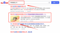 常州市*友膠粘劑有限公司SEO優(yōu)化到首頁無排名不收費(fèi)