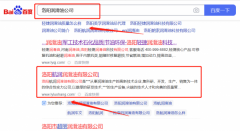 洛陽(yáng)*潤(rùn)潤(rùn)滑油有限公司網(wǎng)絡(luò)營(yíng)銷案例欣賞