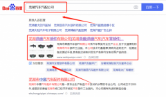 蕪湖市*盛汽車部件有限公司網(wǎng)絡營銷案例欣賞