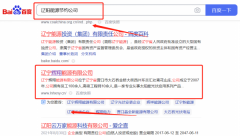遼寧*翔能源有限公司網(wǎng)絡(luò)營(yíng)銷保證在首頁(yè)效果