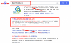 中*生洛陽(yáng)再生資源開(kāi)發(fā)有限公司整站優(yōu)化讓網(wǎng)站輕松覆蓋在搜索引擎