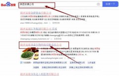 陜西安康圣*生物科技有限責任公司網(wǎng)站優(yōu)化讓網(wǎng)站輕松覆蓋在搜索引擎