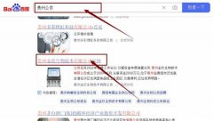 貴州金*生物技術(shù)有限公司網(wǎng)站優(yōu)化專注一站式品牌營銷整合推廣