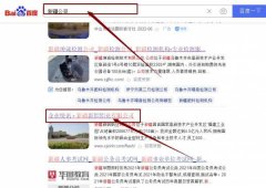 新疆新*鋁業(yè)有限公司網站優(yōu)化讓網站輕松覆蓋在搜索引擎