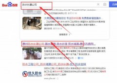 惠州市鼎*防水補漏工程有限公司網(wǎng)站優(yōu)化最快上詞效果展示
