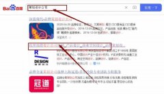 杭州瑞*設計股份有限公司網(wǎng)站優(yōu)化排名效果展示