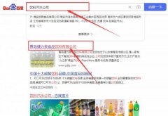 青島健*泉食品飲料有限公司網(wǎng)站優(yōu)化專注一站式品牌營(yíng)銷整合推廣