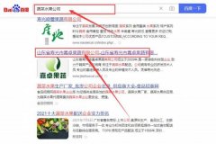山東省壽光市嘉*果蔬有限公司百度關(guān)鍵詞排名整合營(yíng)銷(xiāo)推廣
