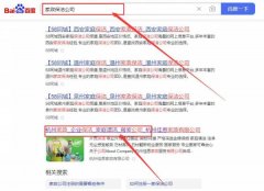 杭州佳*家政服務(wù)有限公司整站優(yōu)化快上詞效果展示
